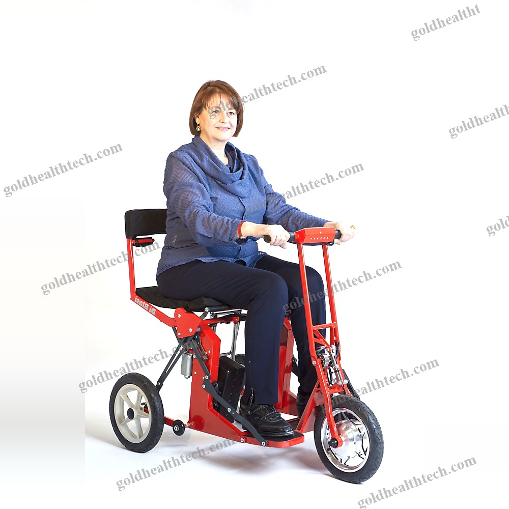 Electric Mobility Scooter