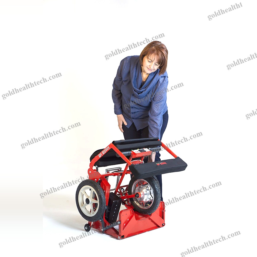 Electric Mobility Scooter