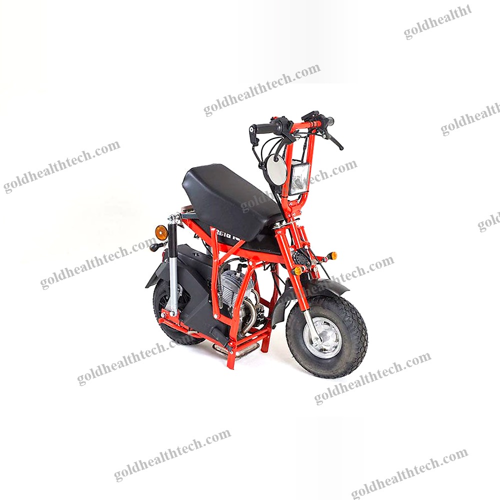 Electric Mobility Scooter
