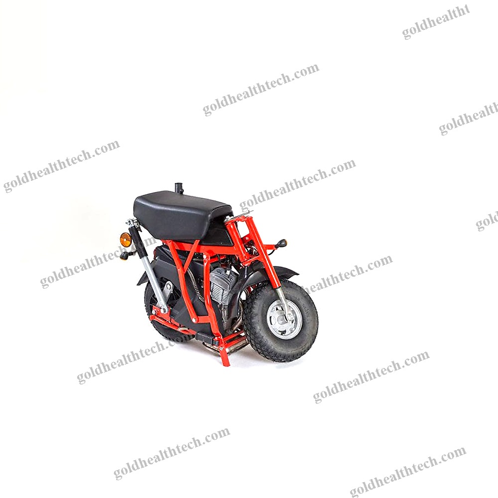 Electric Mobility Scooter
