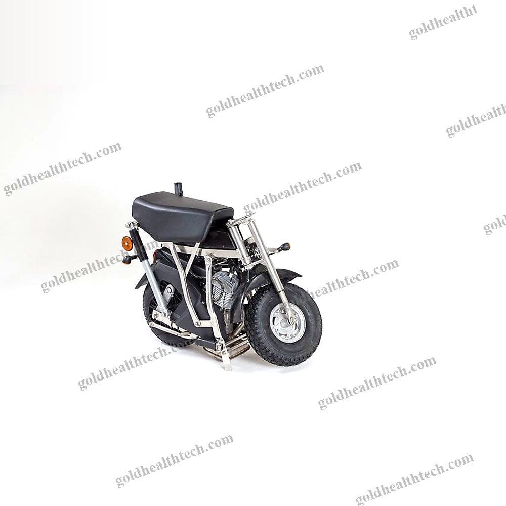 Electric Mobility Scooter