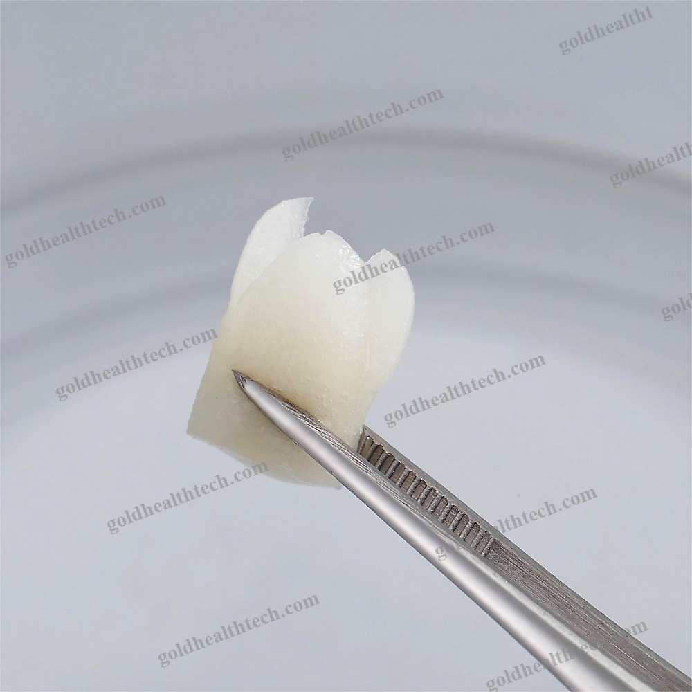 Synthetic Bone Substitute