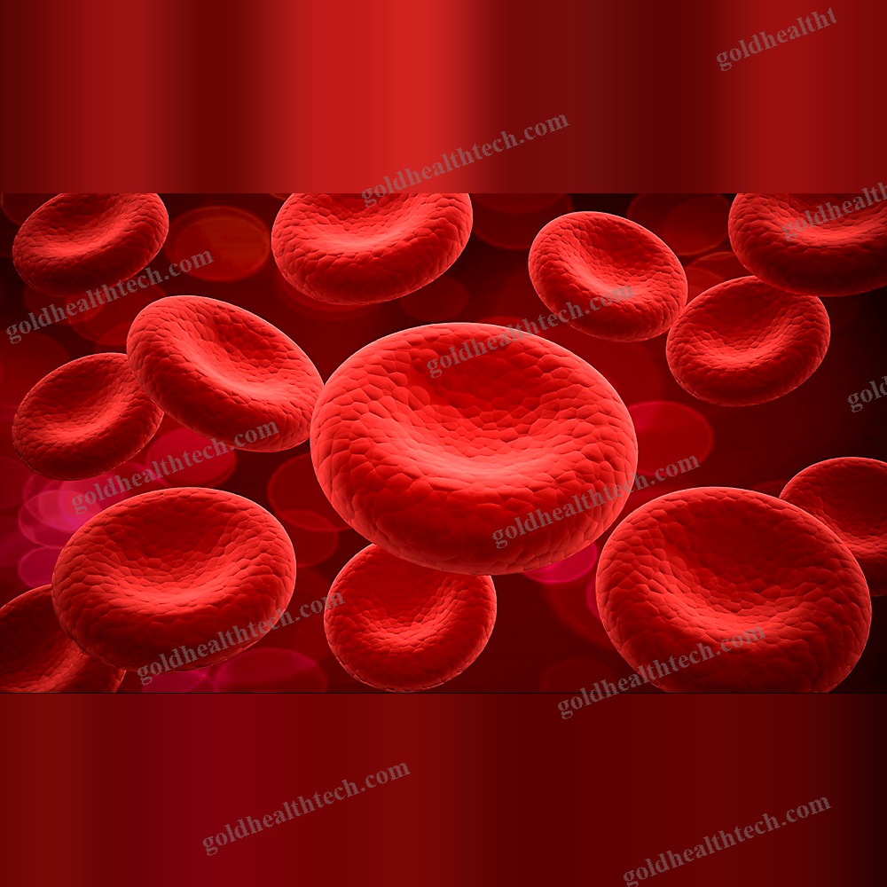 Blood Bank Management System
