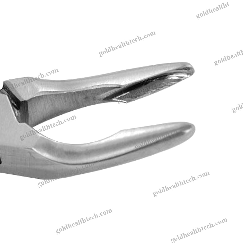 Veterinary Dentistry Forceps
