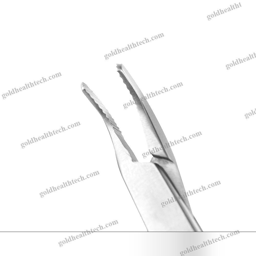 Veterinary Dental Extraction Forceps