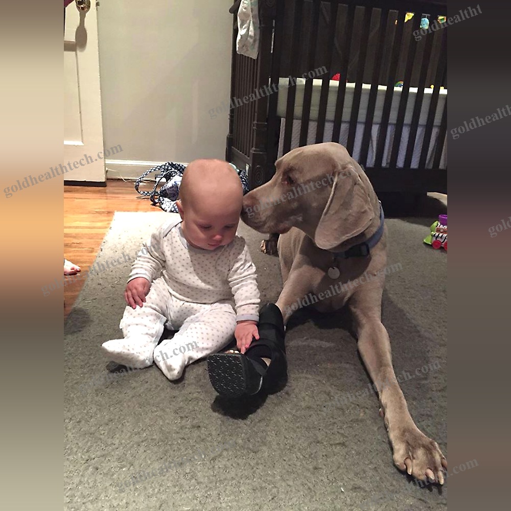 Dog Veterinary Orthosis