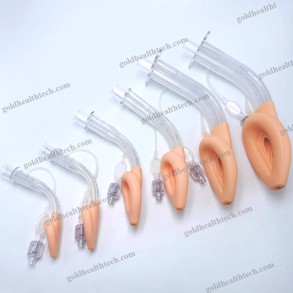 Oral Laryngeal Mask
