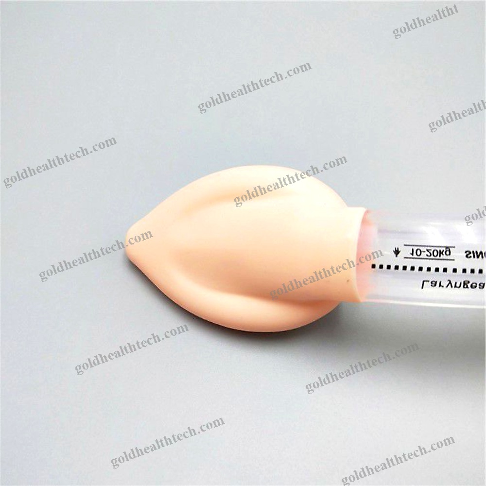 Oral Laryngeal Mask