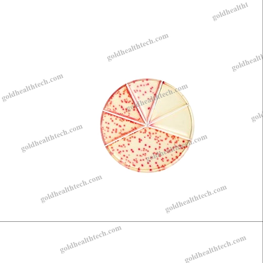 Urinary Tract Infection Test Kit