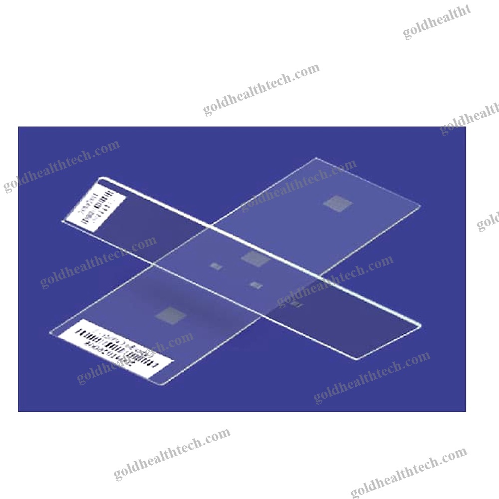 Microscope Slide