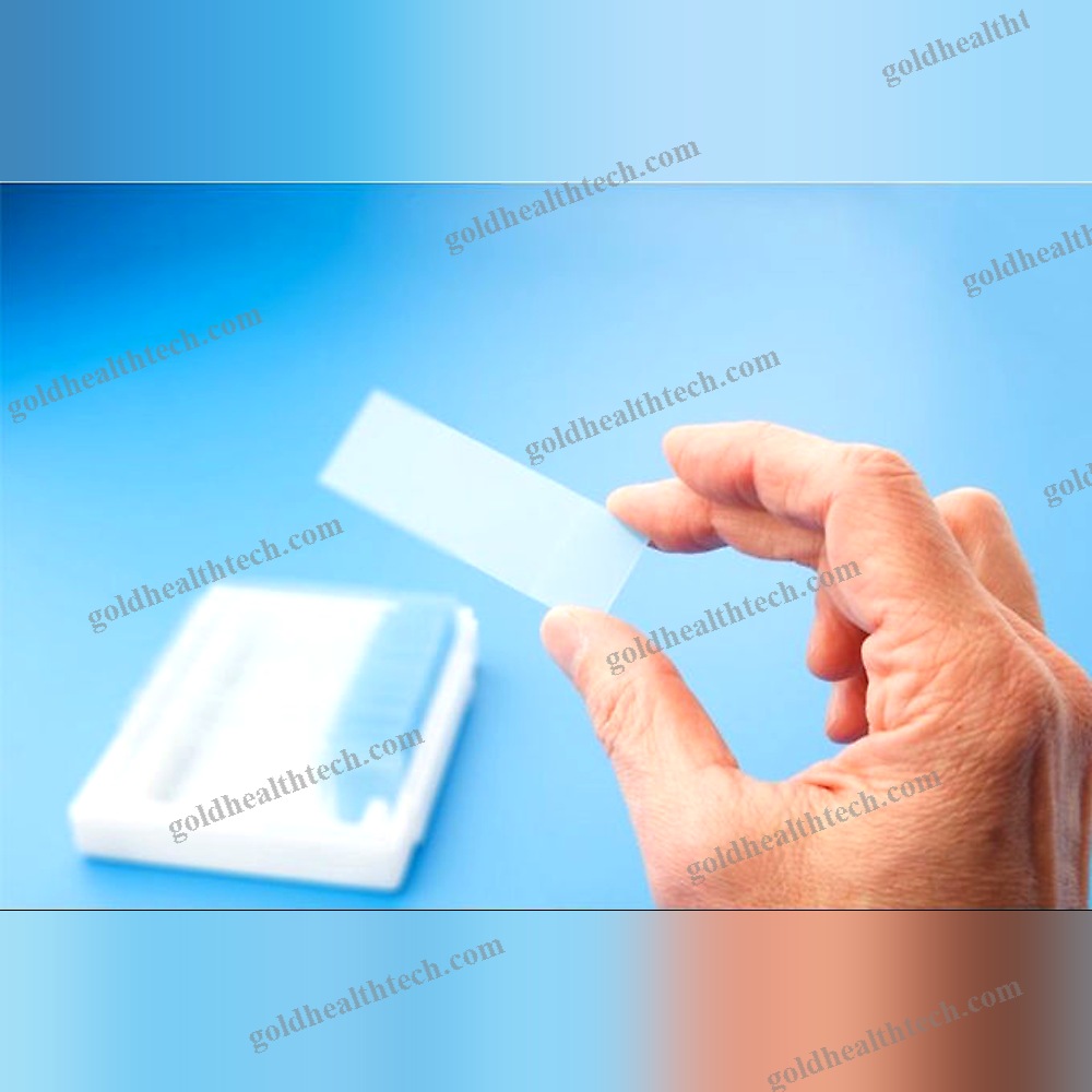 Microscope Slide