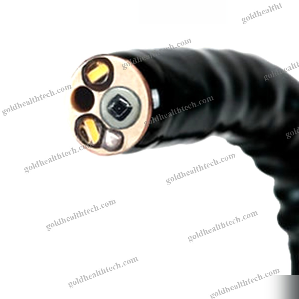 Video Veterinary Gastroscope