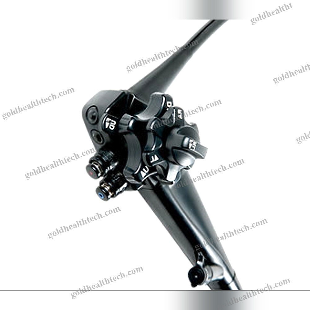 Video Veterinary Gastroscope