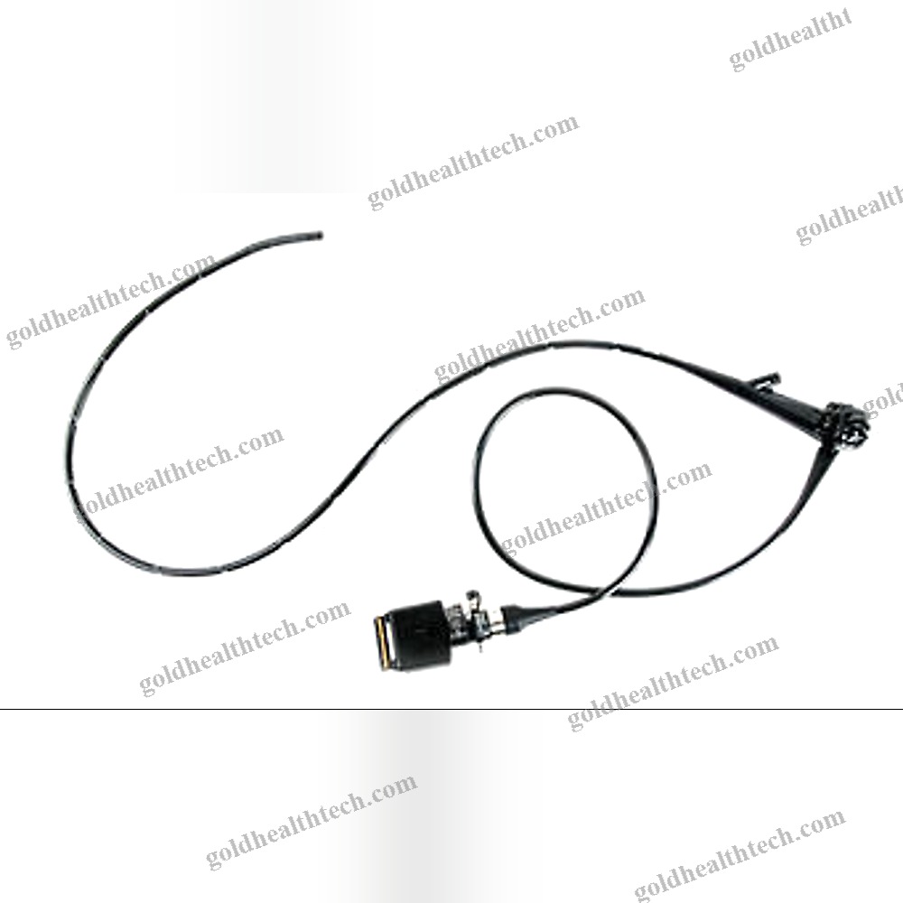 Video Veterinary Gastroscope