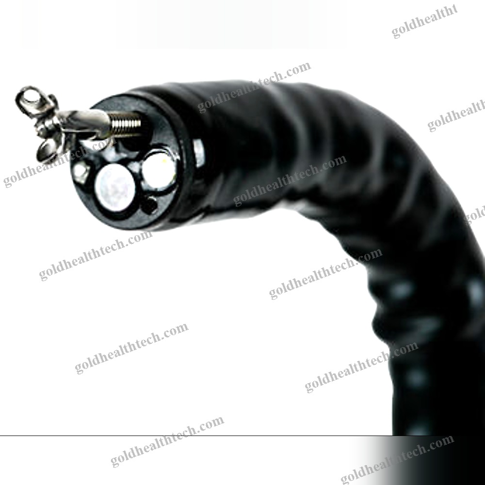Video Veterinary Gastroscope