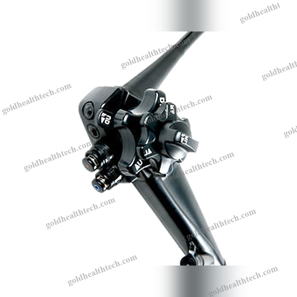 Video Veterinary Gastroscope