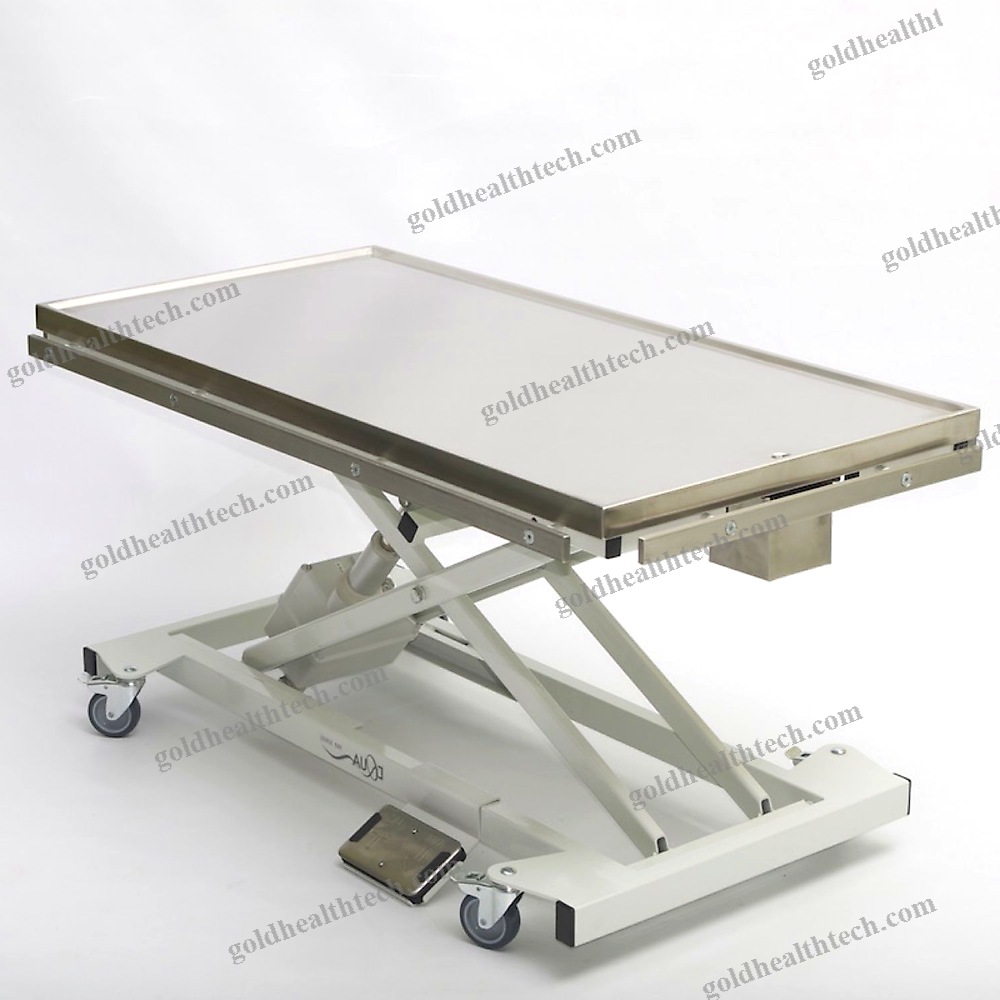 Veterinary Examination Table