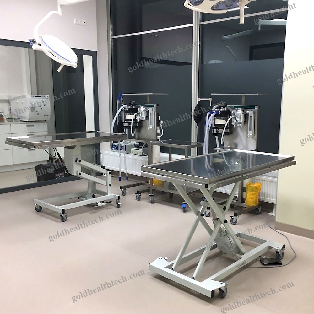 Veterinary Examination Table