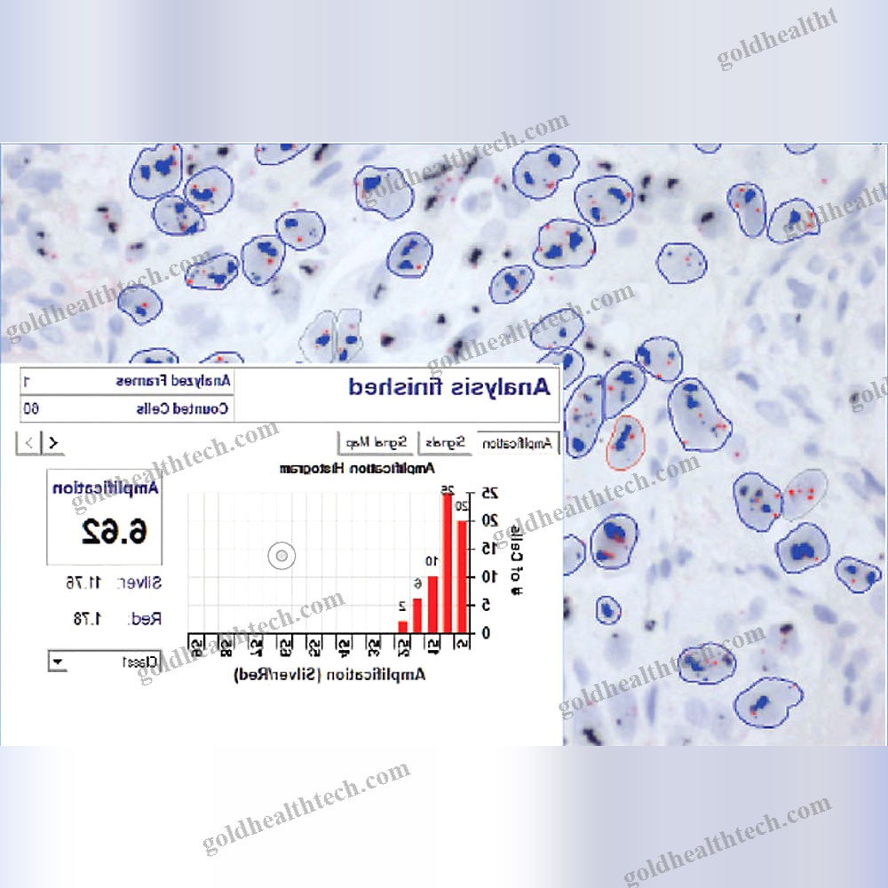 Automatic Cell Imaging System
