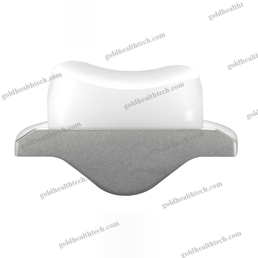 Unicompartmental Knee Prosthesis