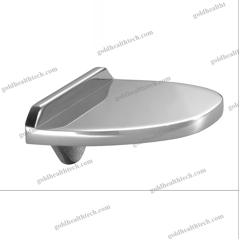 Unicompartmental Knee Prosthesis