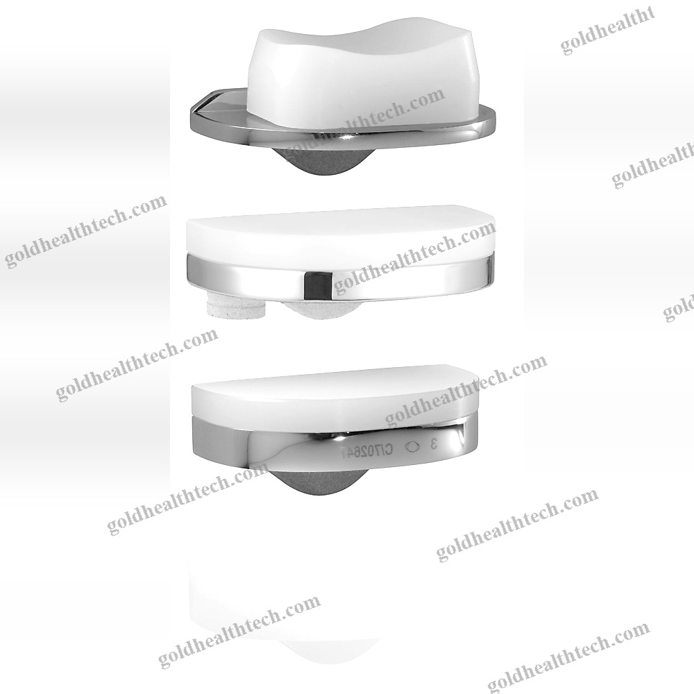 Unicompartmental Knee Prosthesis