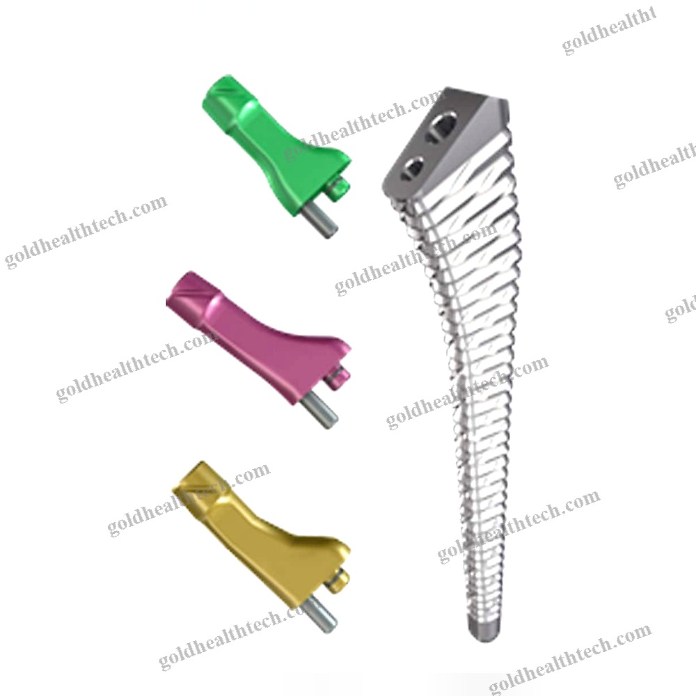 Cementless Femoral Stem