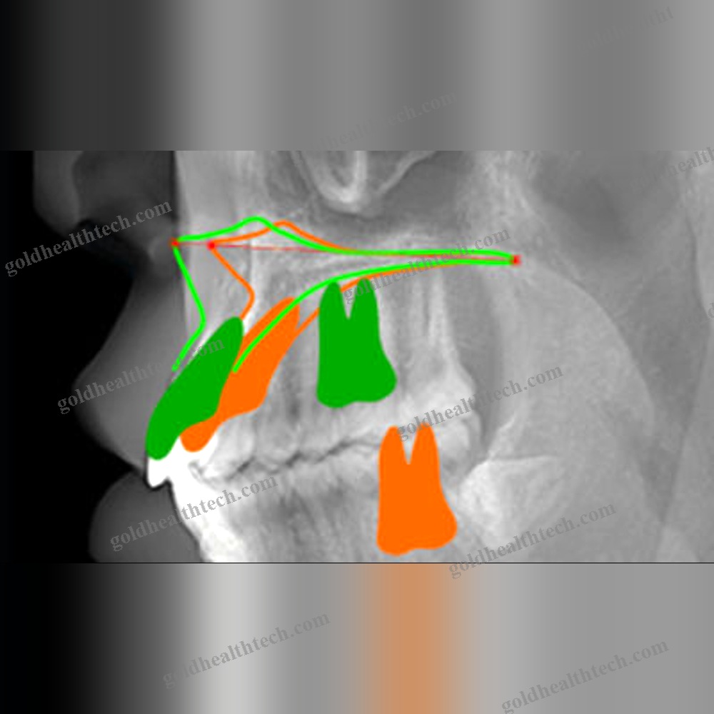 Medical Imaging Software
