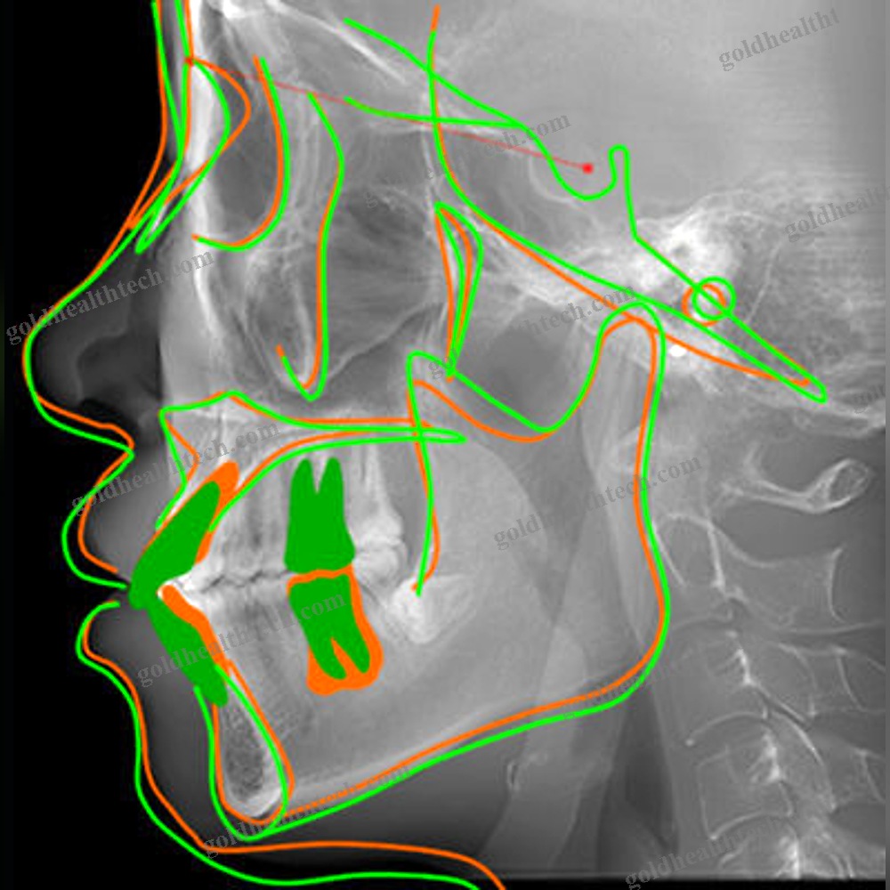 Medical Imaging Software