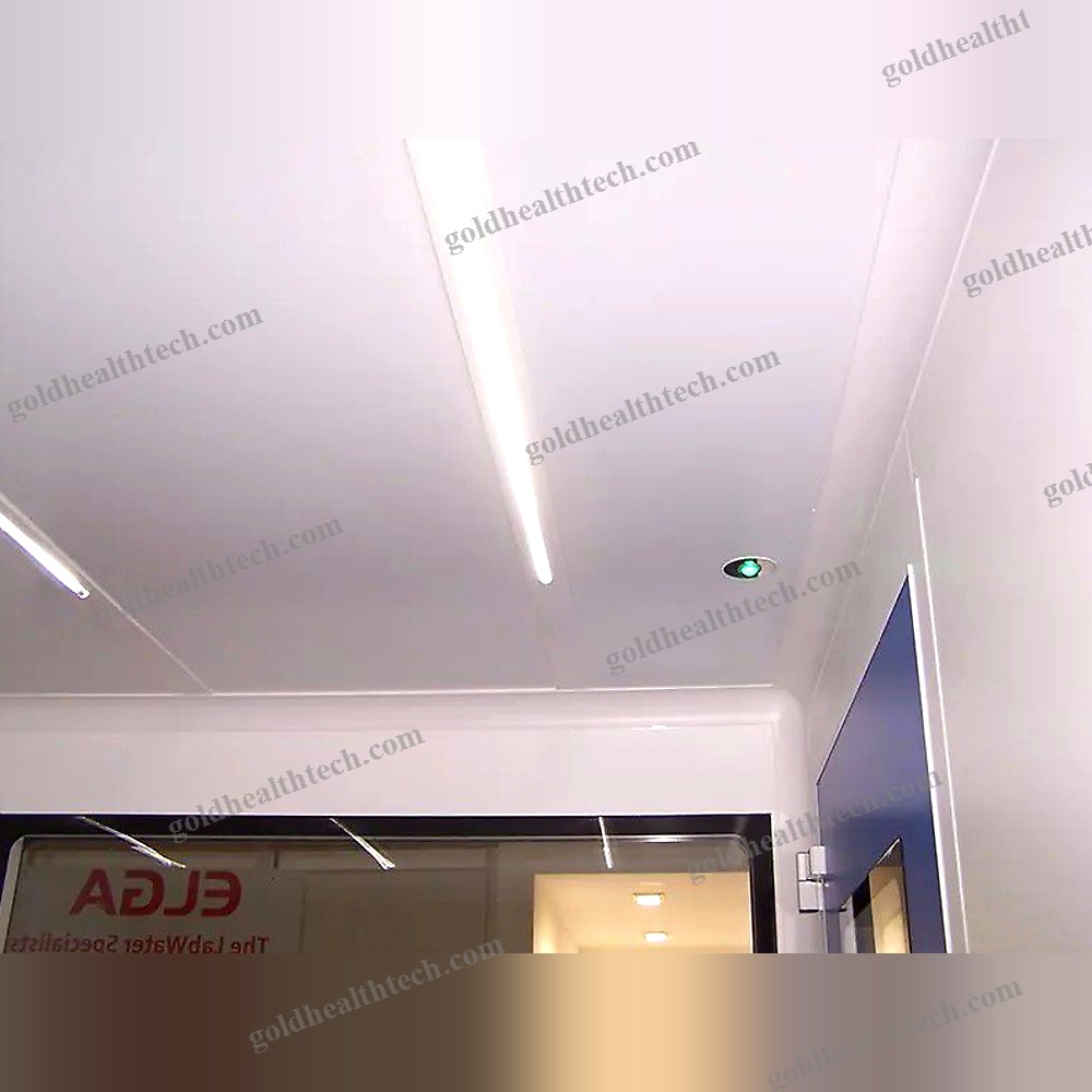 Ceiling-Mounted Lighting
