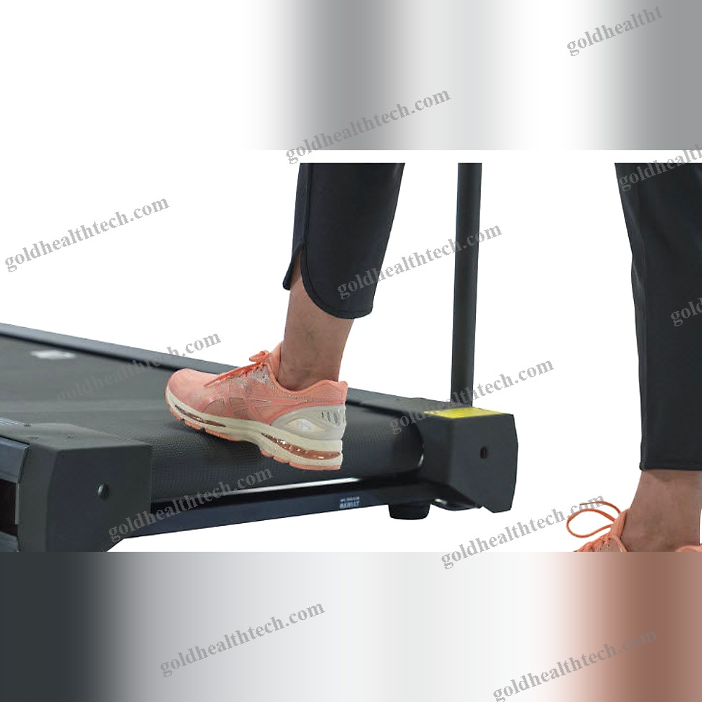 Treadmill With Handrails