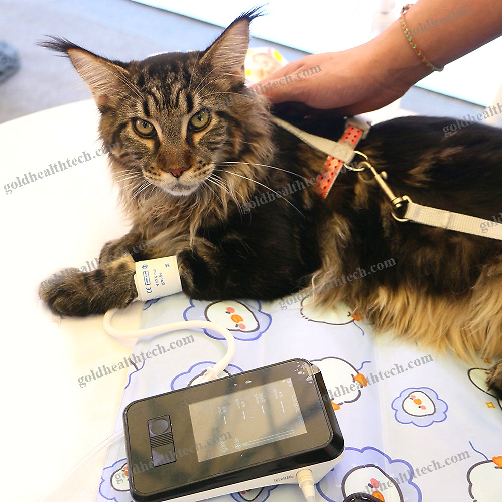 Automatic Blood Pressure Monitor
