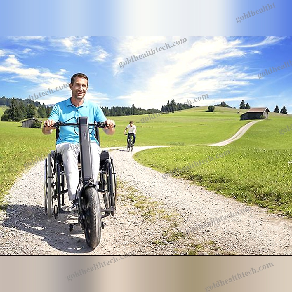 Electric Wheelchair Drive Unit