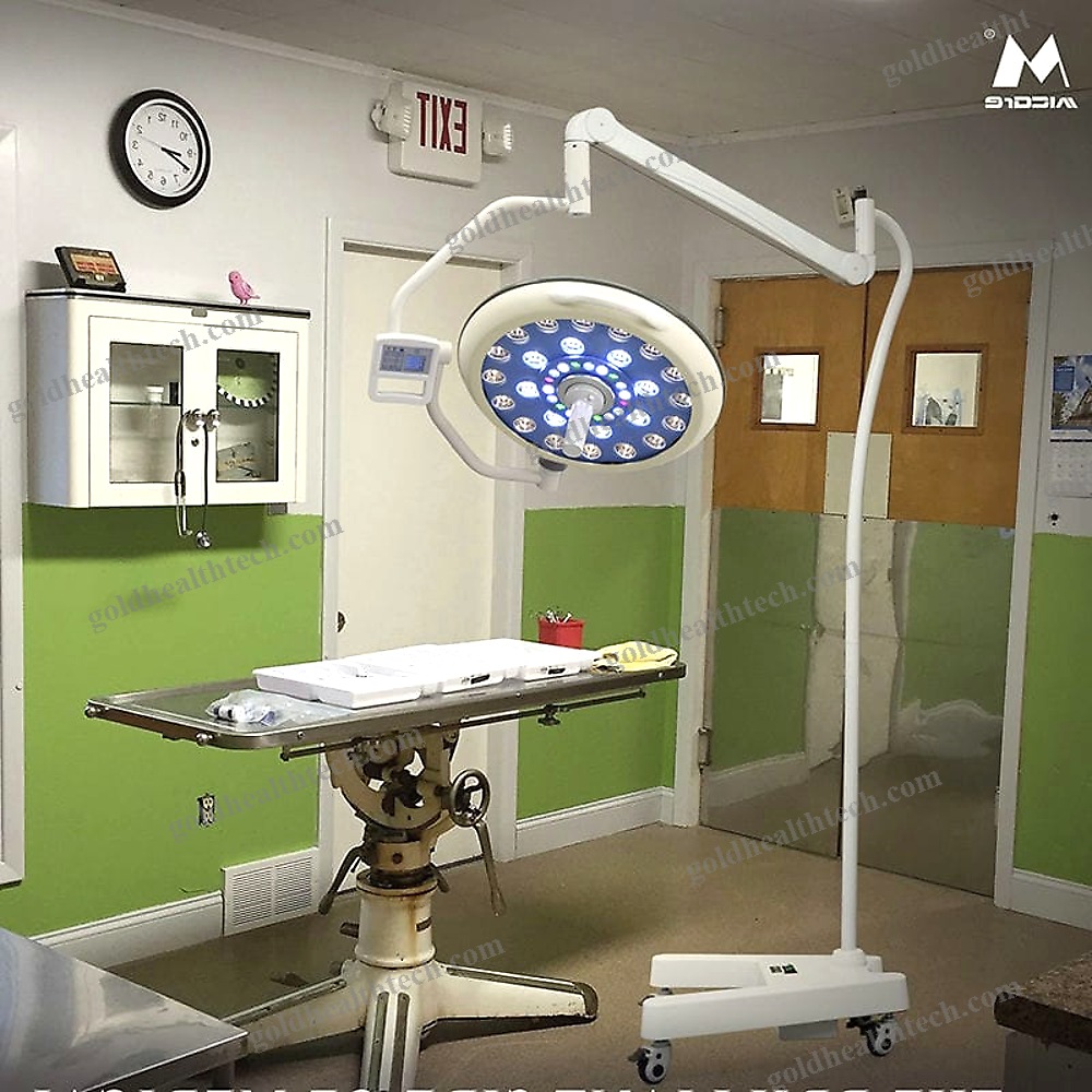 General Medicine Minor Surgery Lamp