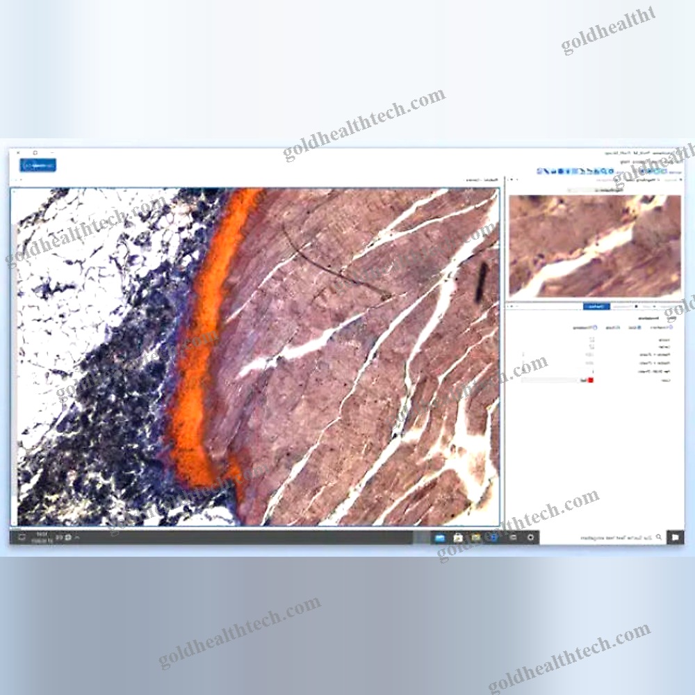 Digital Microscope