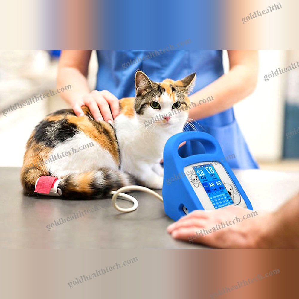 Automatic Blood Pressure Monitor