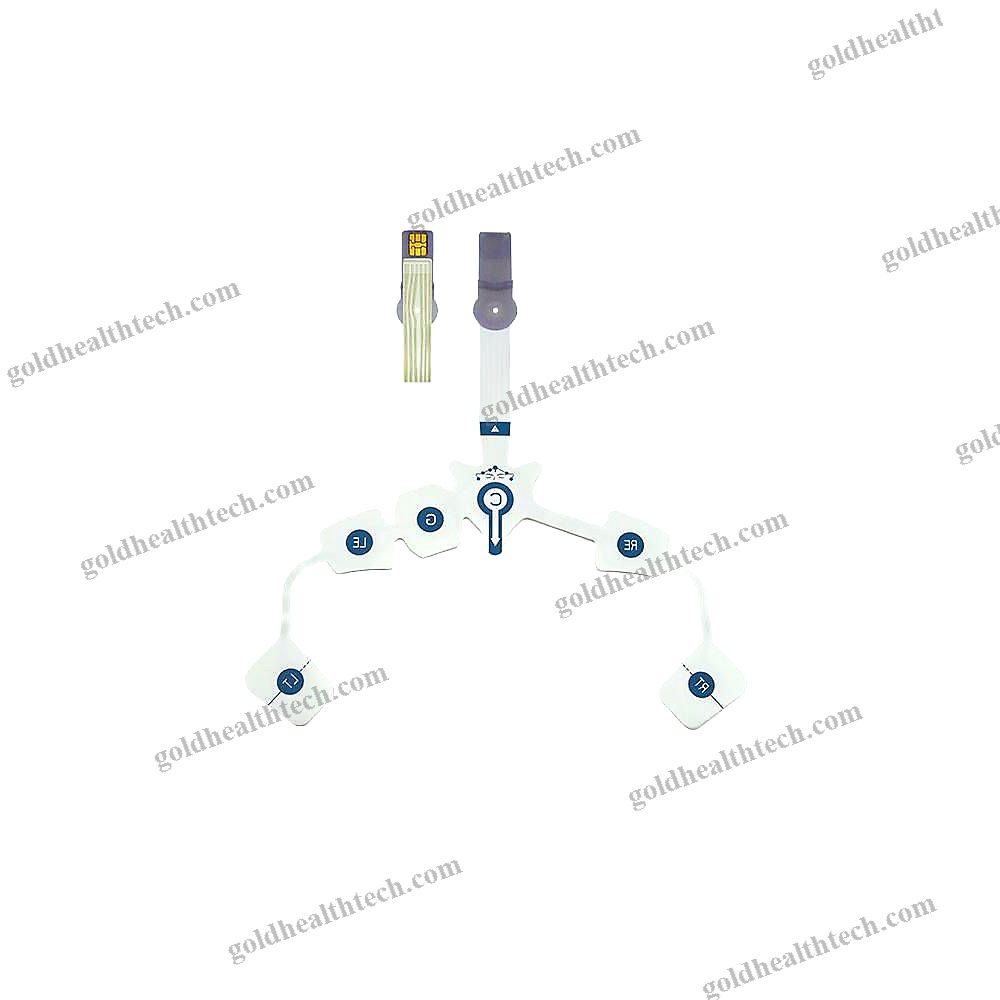 Eeg Sensor
