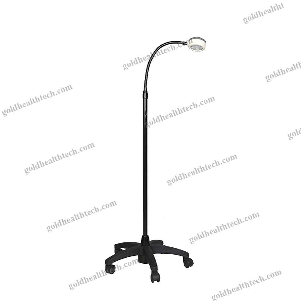 Veterinary Examination Light