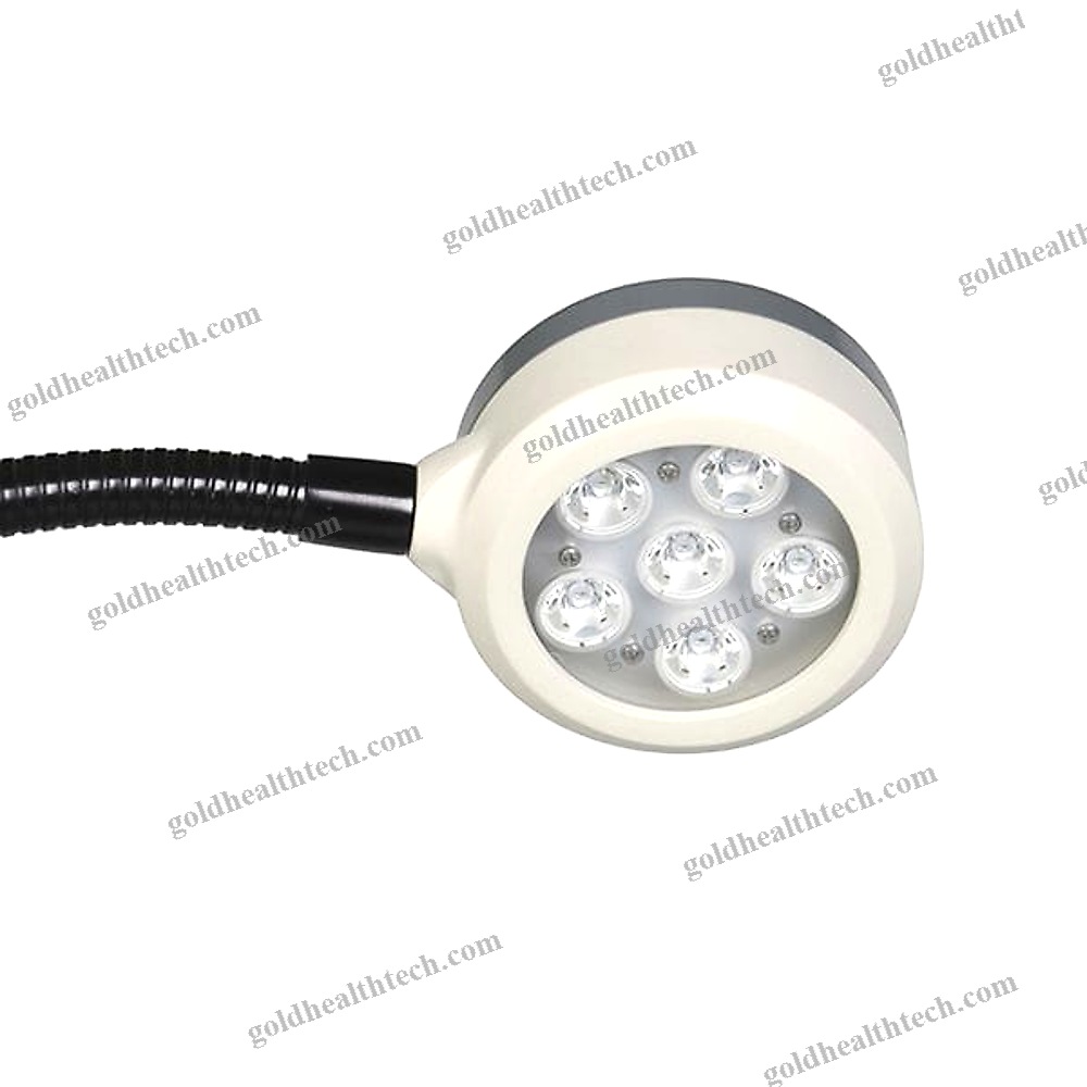 Veterinary Examination Light