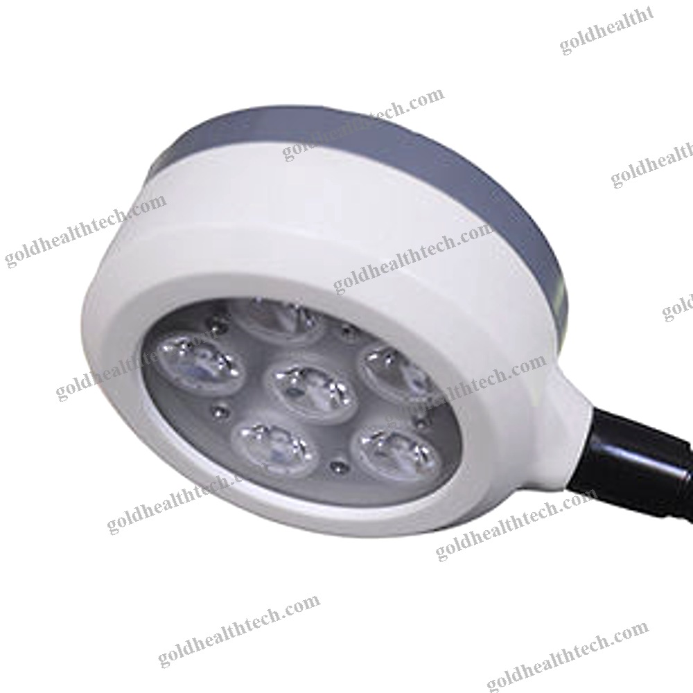 Veterinary Examination Light