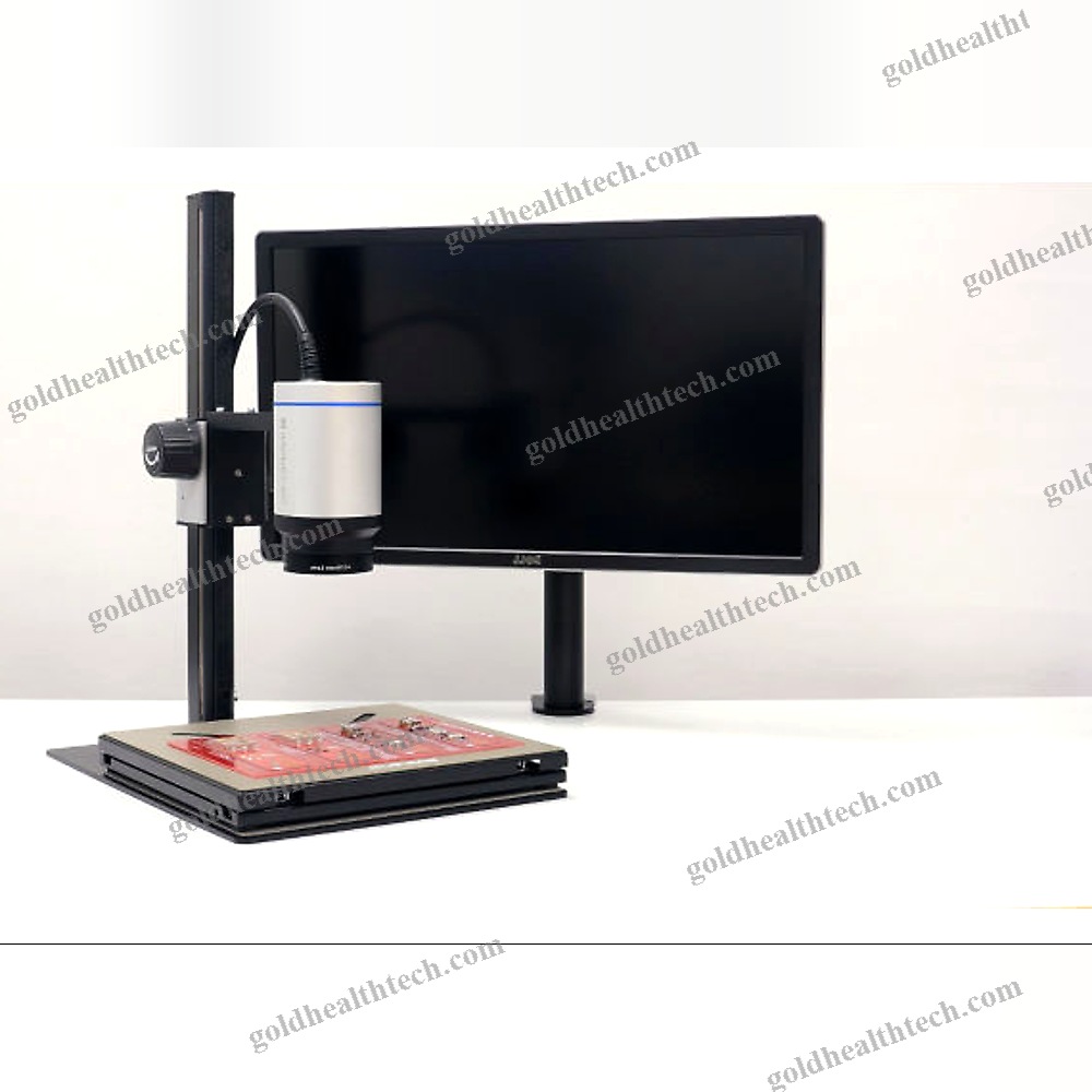 Digital Macroscope