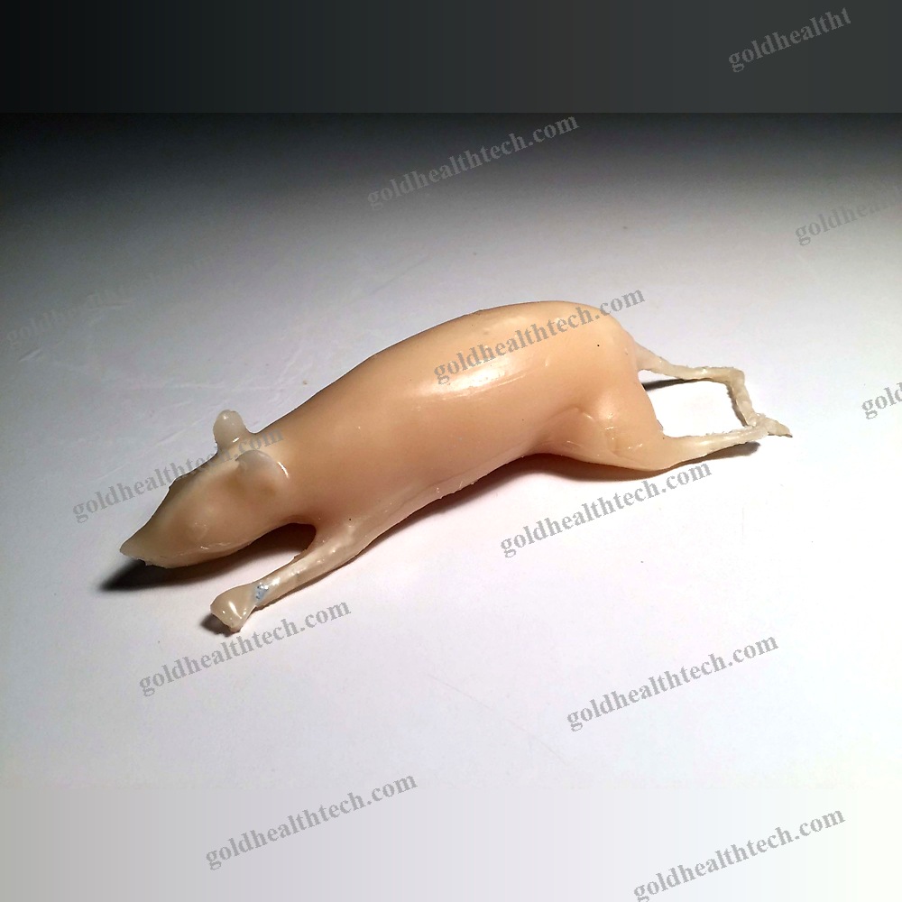 Mri Veterinary Test Phantom