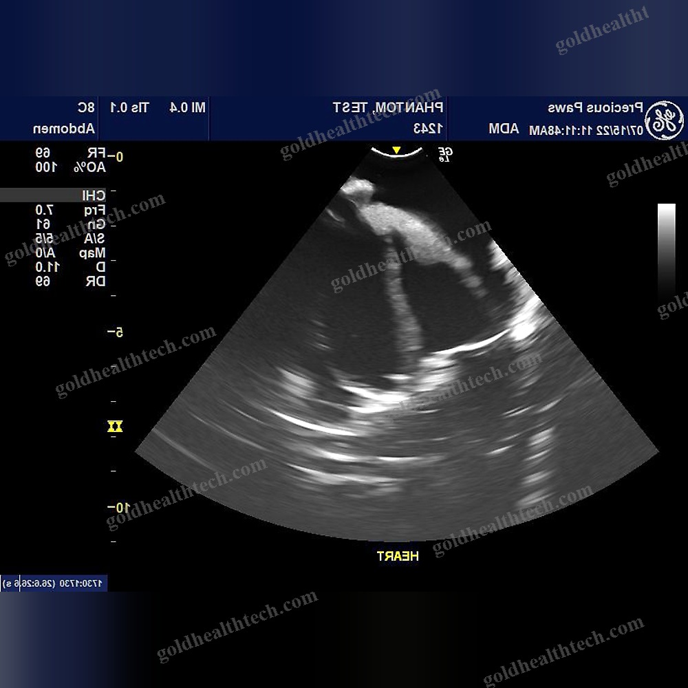 Ultrasound Imaging Veterinary Test Phantom