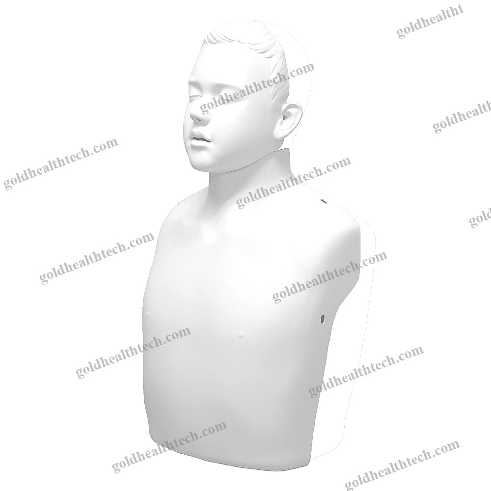 General Care Training Manikin