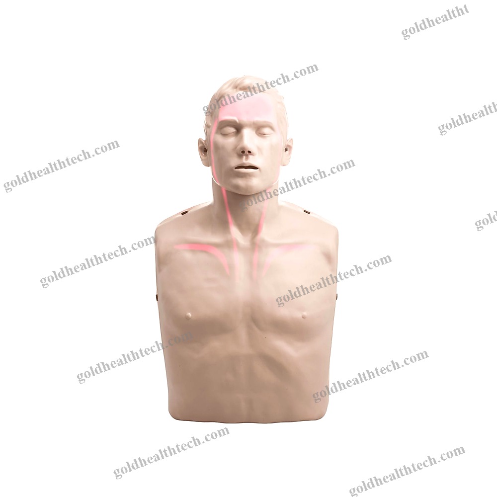 General Care Training Manikin