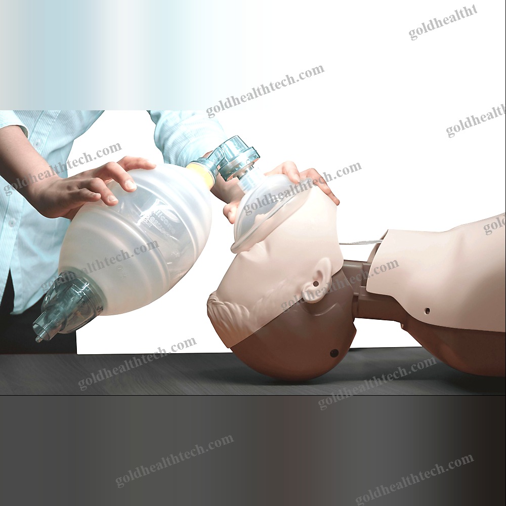 General Care Training Manikin