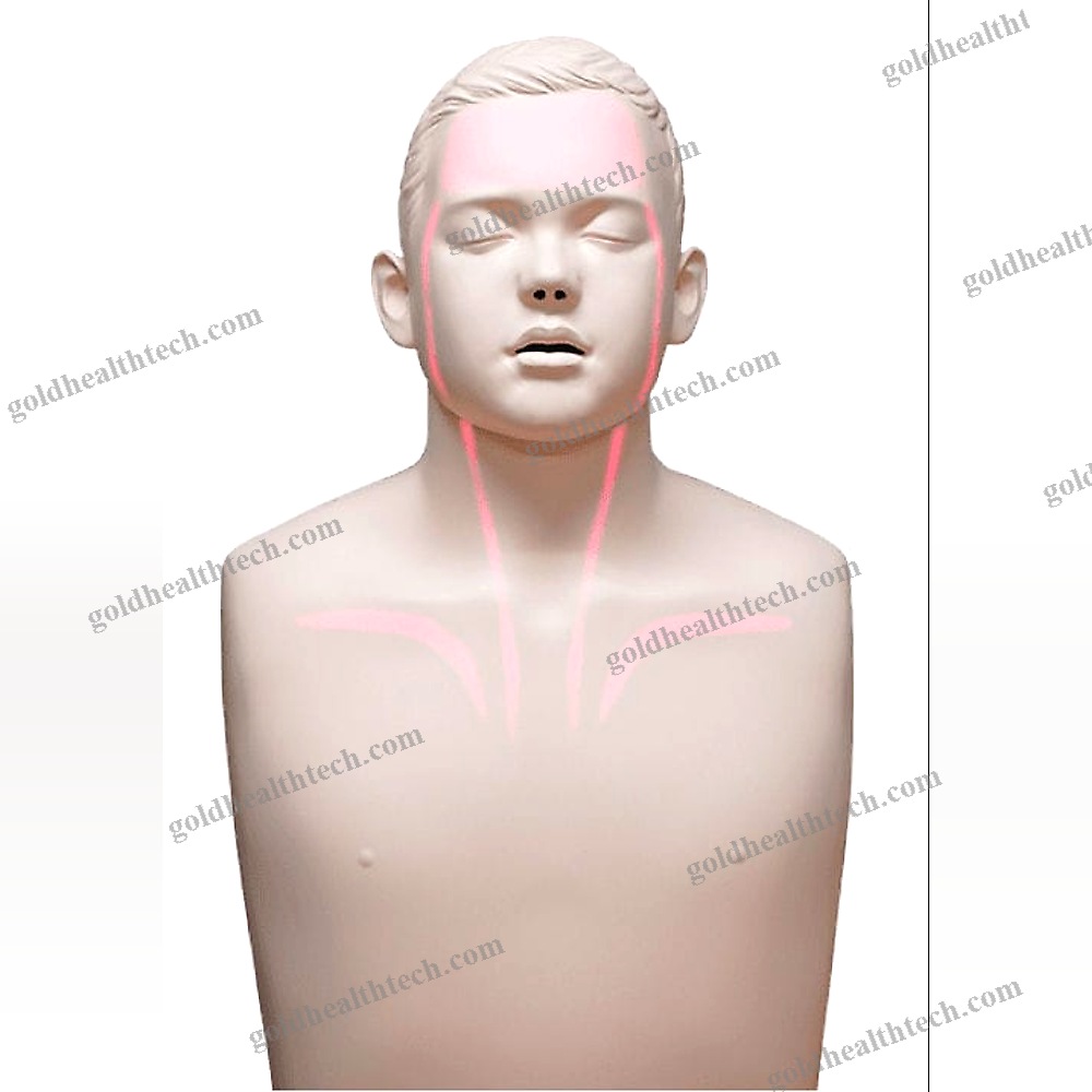 General Care Training Manikin