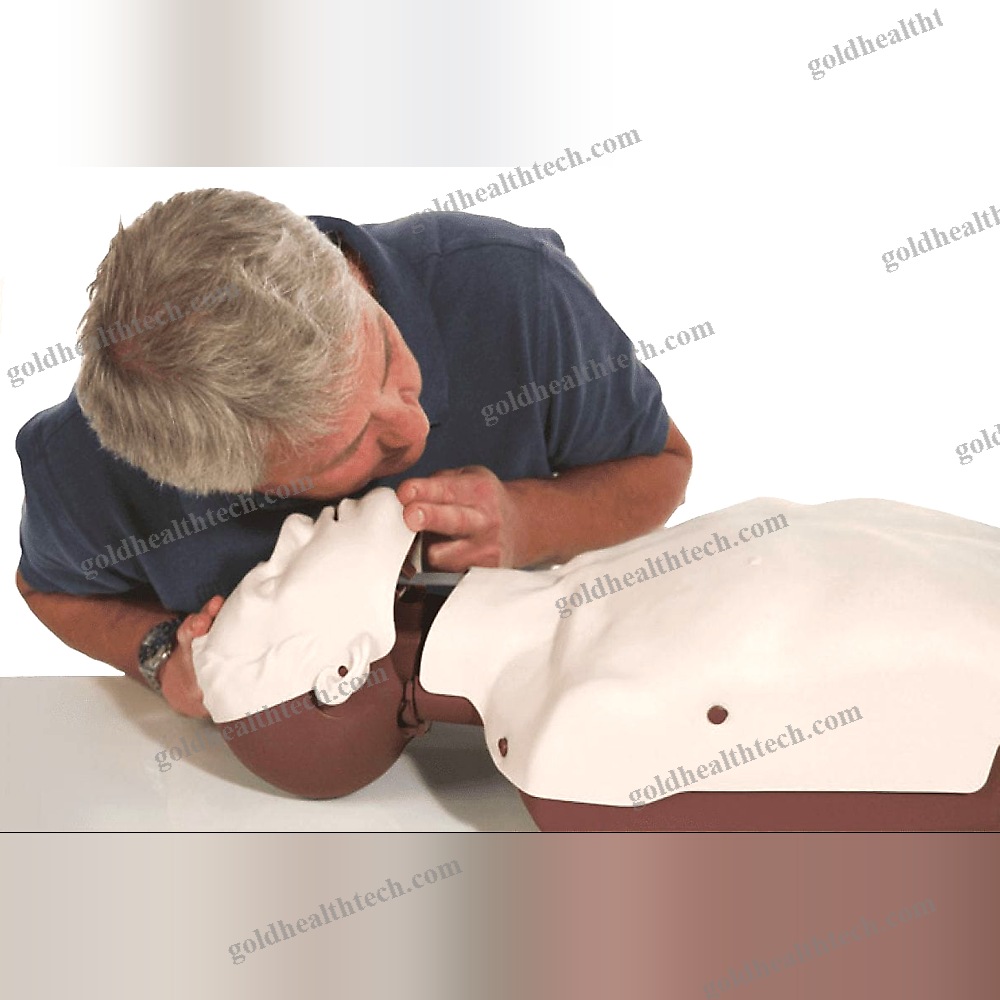General Care Training Manikin