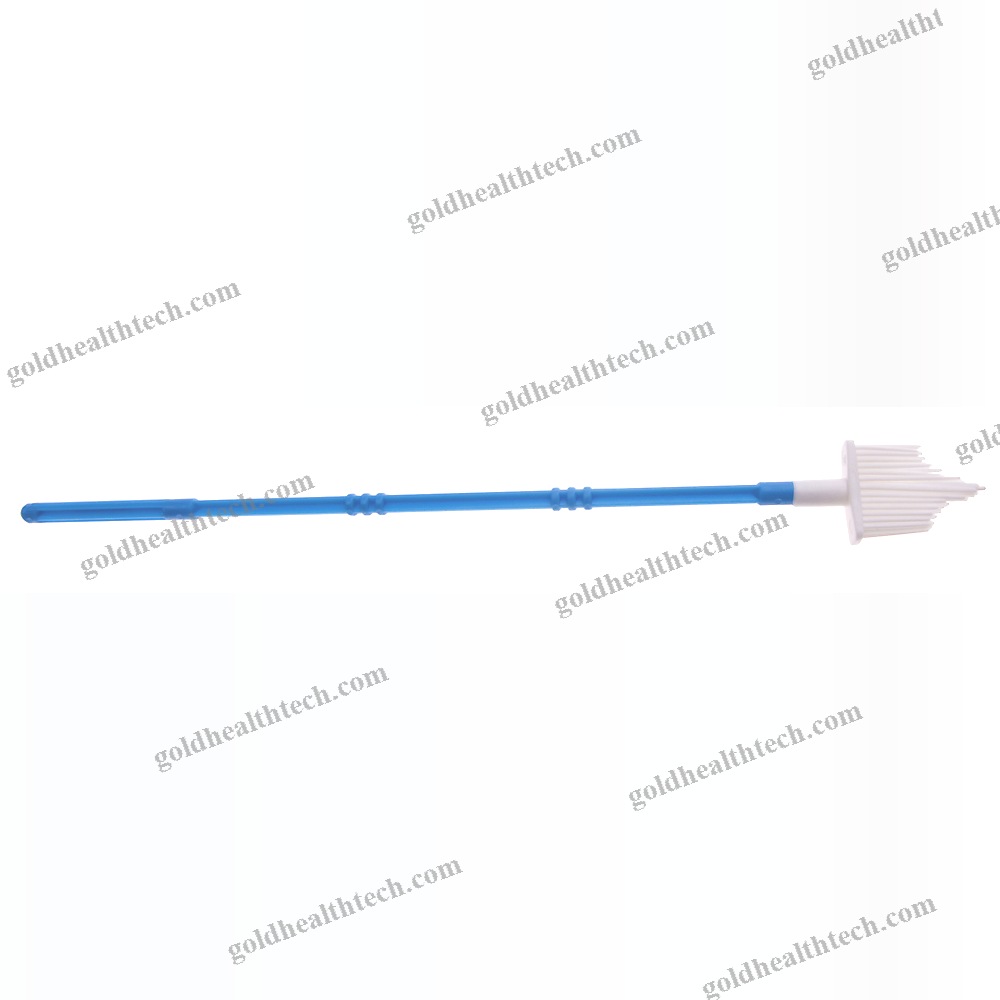 Cervical Cytology Brush