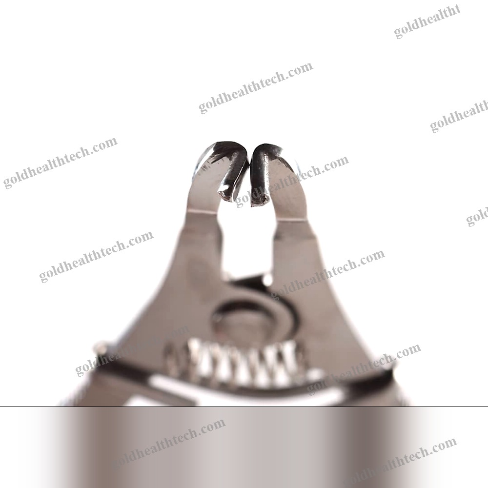 Dental Forceps